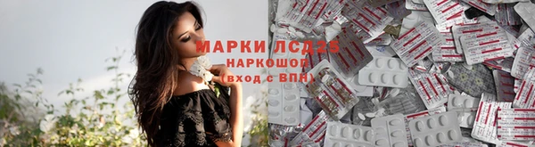 прущие крисы Алзамай